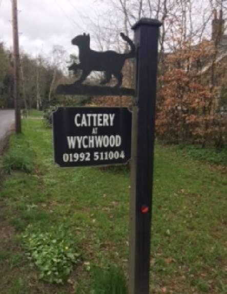 Cattery at Wychwood | The Cattery at King Fisher Nursery, White Stubbs Ln, Bayford, Hertford SG13 8QA, UK | Phone: 01992 511727
