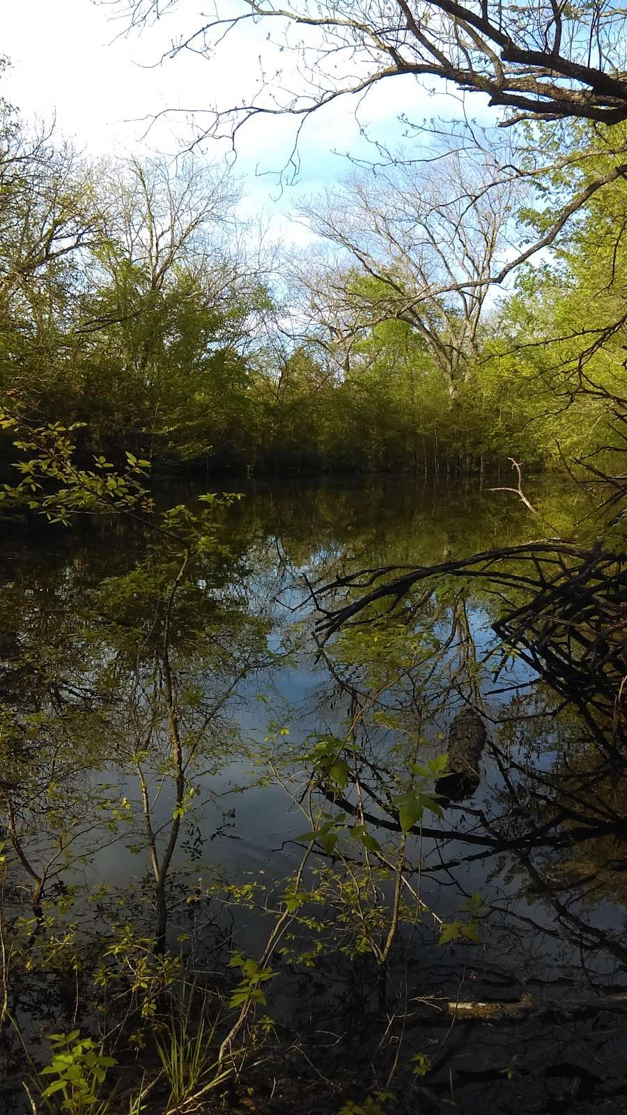 Bear Creek Nature Park | 1300 Bear Creek Rd, Lancaster, TX 75146, USA