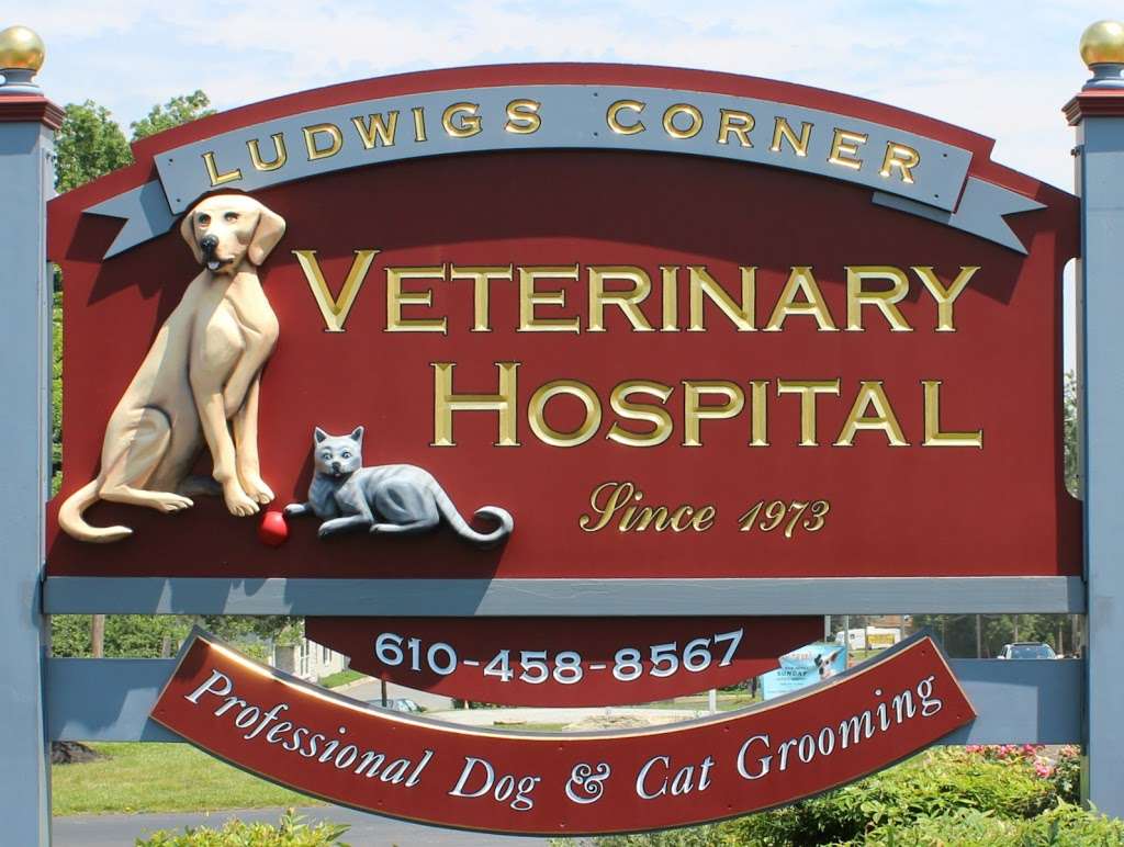 Ludwigs Corner Veterinary Hospital | 915 Pottstown Pike, Chester Springs, PA 19425, USA | Phone: (610) 458-8567