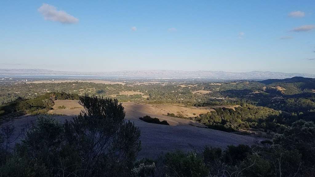 Windy Hill Open Space Preserve | Portola Valley, CA 94028 | Phone: (650) 691-1200