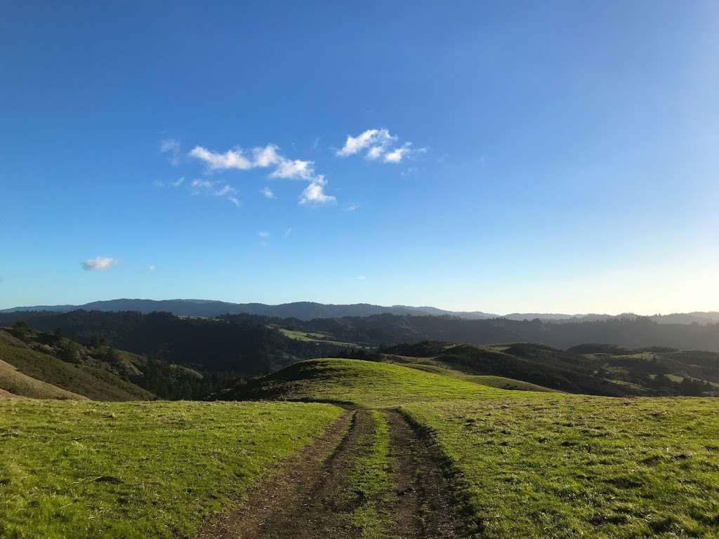 La Honda Creek Open Space Preserve | Redwood City, CA 94062, USA | Phone: (650) 691-1200