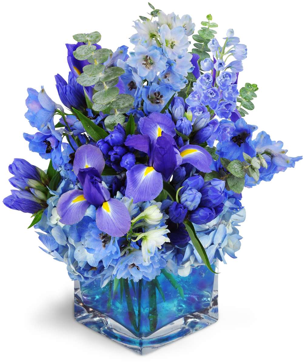 Norwood Florist | 1313, 55 Oak St suite b, Norwood, NJ 07648 | Phone: (201) 224-3227