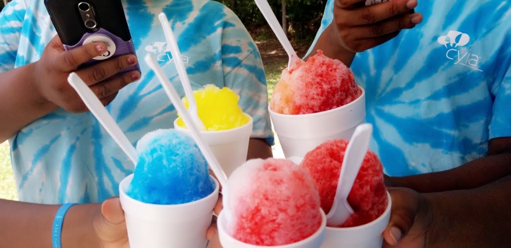 Pelicans Snoballs | 5400 State Hwy 55, Lake Wylie, SC 29710, USA | Phone: (931) 607-4433