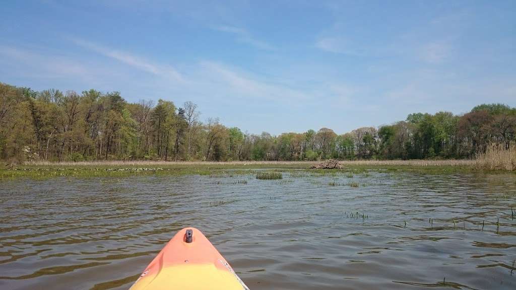 Featherstone National Wildlife Refuge | 12638 Darby Brook Ct, Woodbridge, VA 22192, USA | Phone: (703) 490-4979