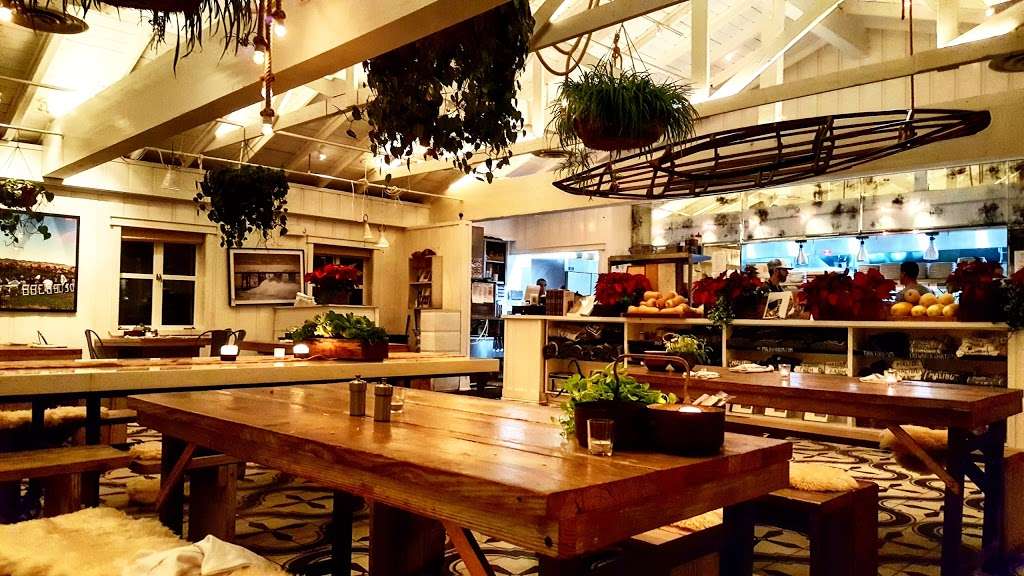 Malibu Farm Restaurant | 23000 Pacific Coast Hwy, Malibu, CA 90265 | Phone: (310) 456-8850