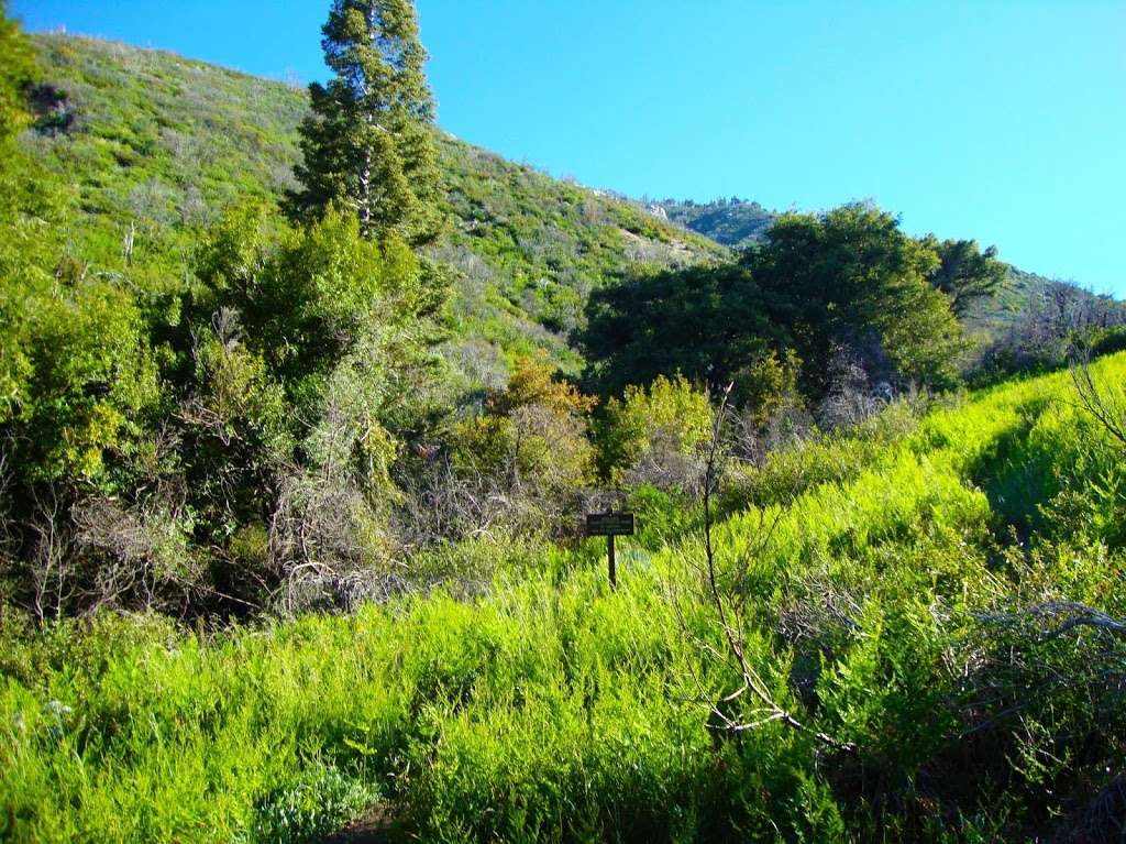 Mount Baldy Visitor Center | Mt Baldy Rd, Mt Baldy, CA 91759, USA | Phone: (909) 982-2829