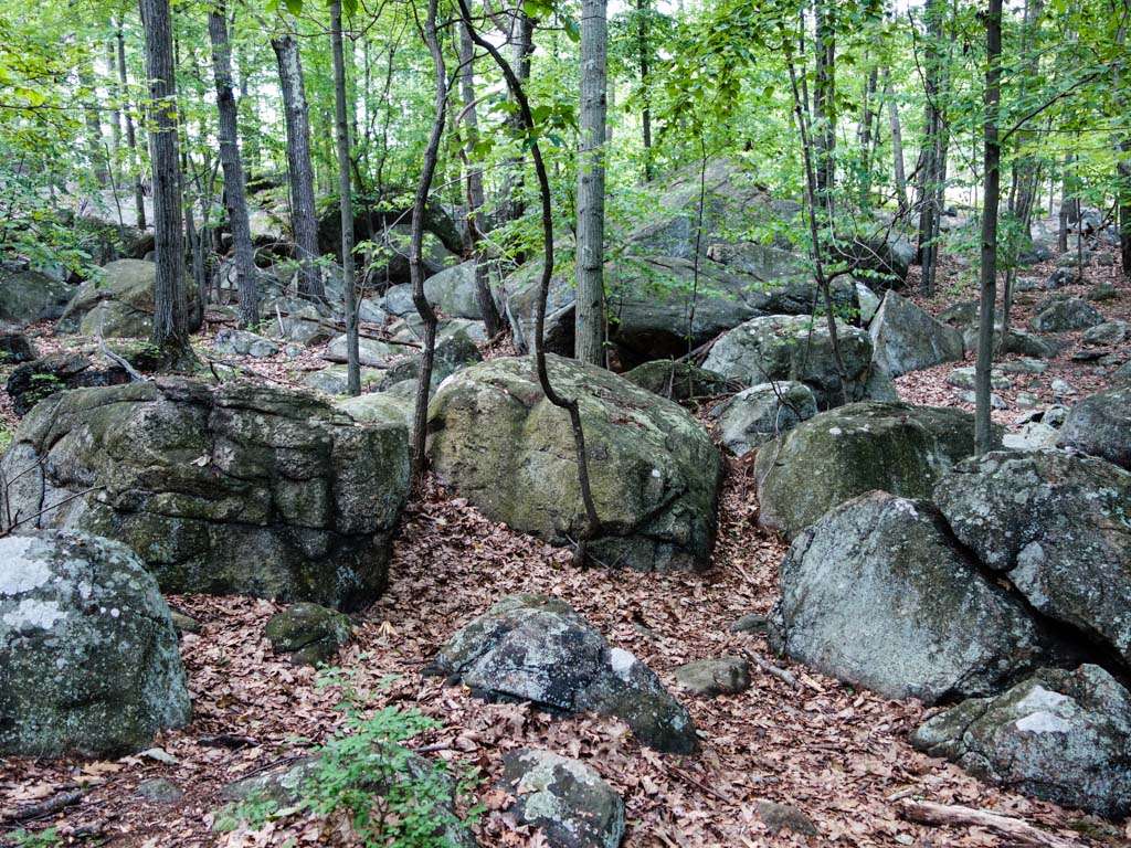 Valley of Dry Bones | Ramapo, NY 10901, USA