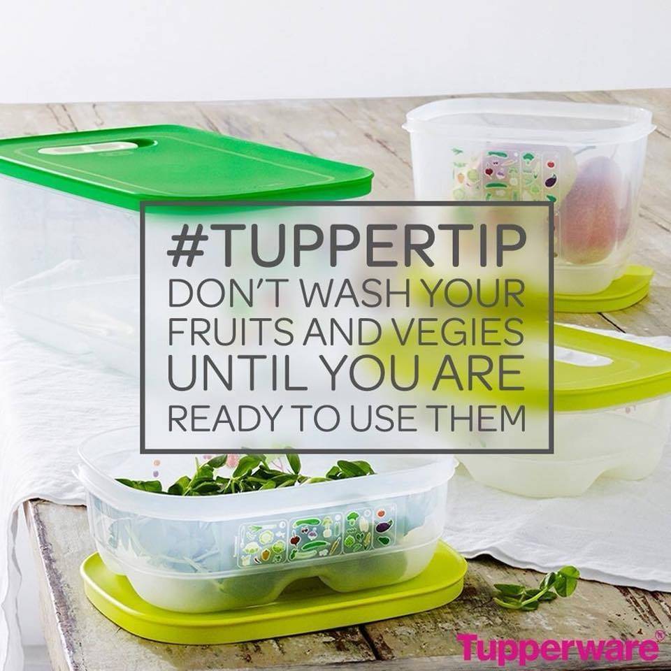 Tupperware with Jeanette | 2430 Luddington Dr, Toledo, OH 43615, USA | Phone: (419) 764-4342