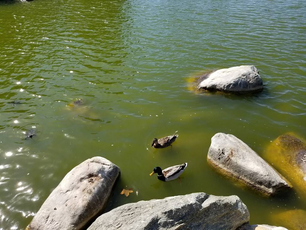 William R Mason Regional Park | 18712 University Dr, Irvine, CA 92612, USA | Phone: (949) 923-2220