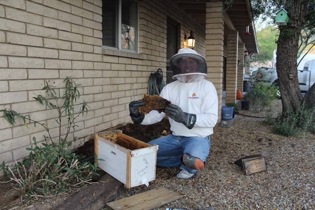 The Beehive Bee and Wasp Removal | 1852 E Bruce Ave, Gilbert, AZ 85234, USA | Phone: (602) 600-5382