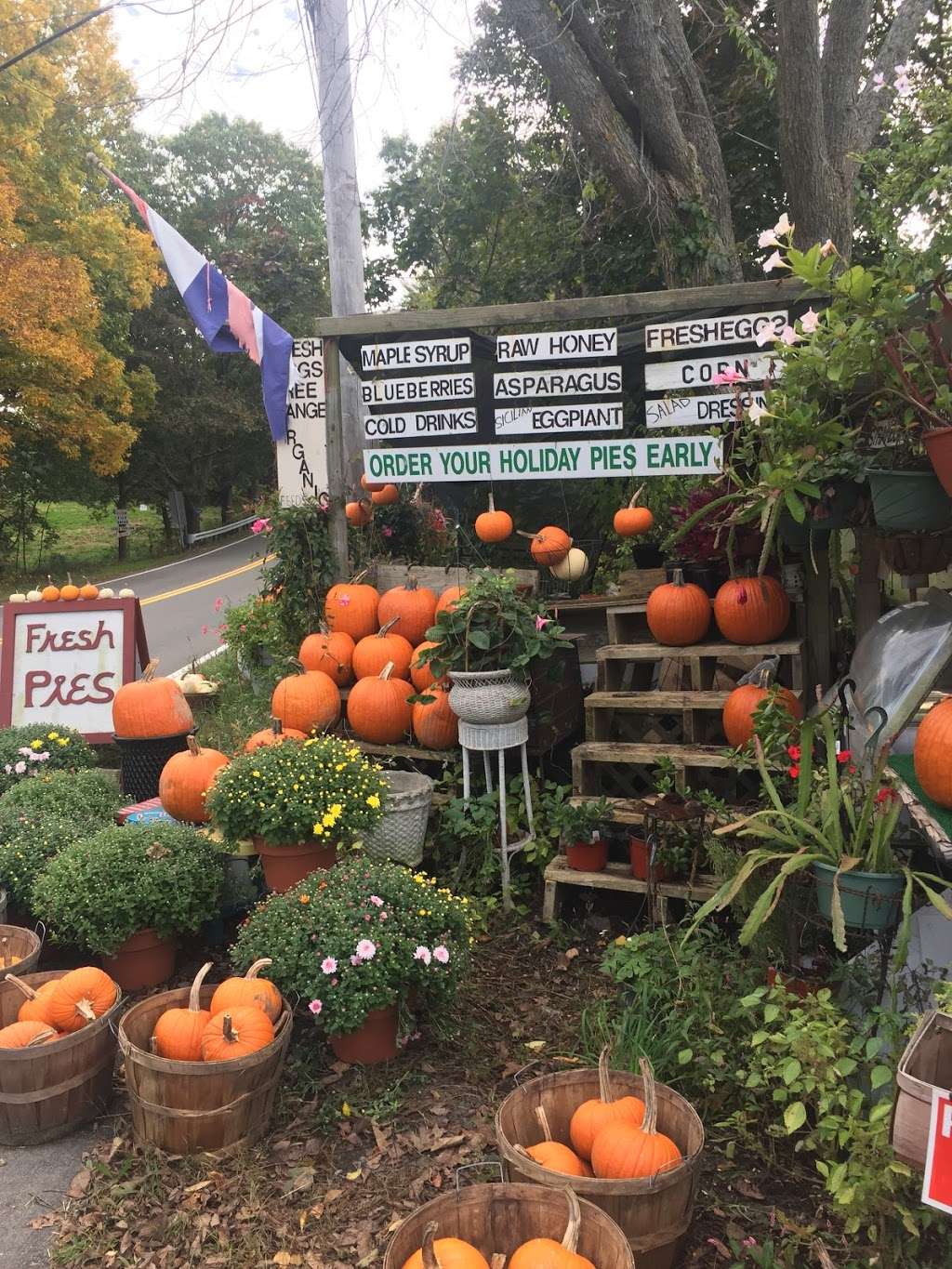 Johns Farmstand | 105 Southern Ave, Essex, MA 01929