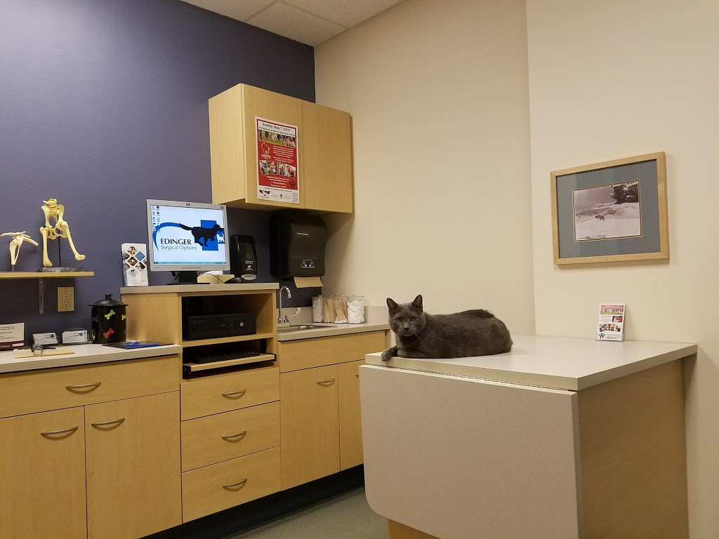 Edinger Surgical Options | 1848 Waldorf Blvd, Madison, WI 53719, USA | Phone: (608) 845-0002