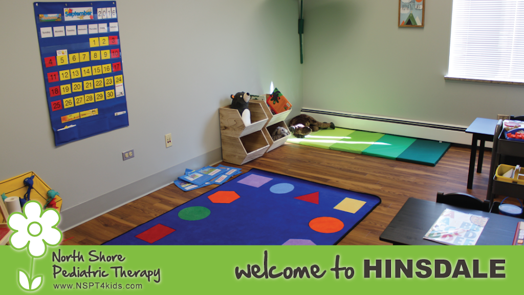 North Shore Pediatric Therapy | 907 N Elm St #308, Hinsdale, IL 60521, USA | Phone: (877) 486-4140