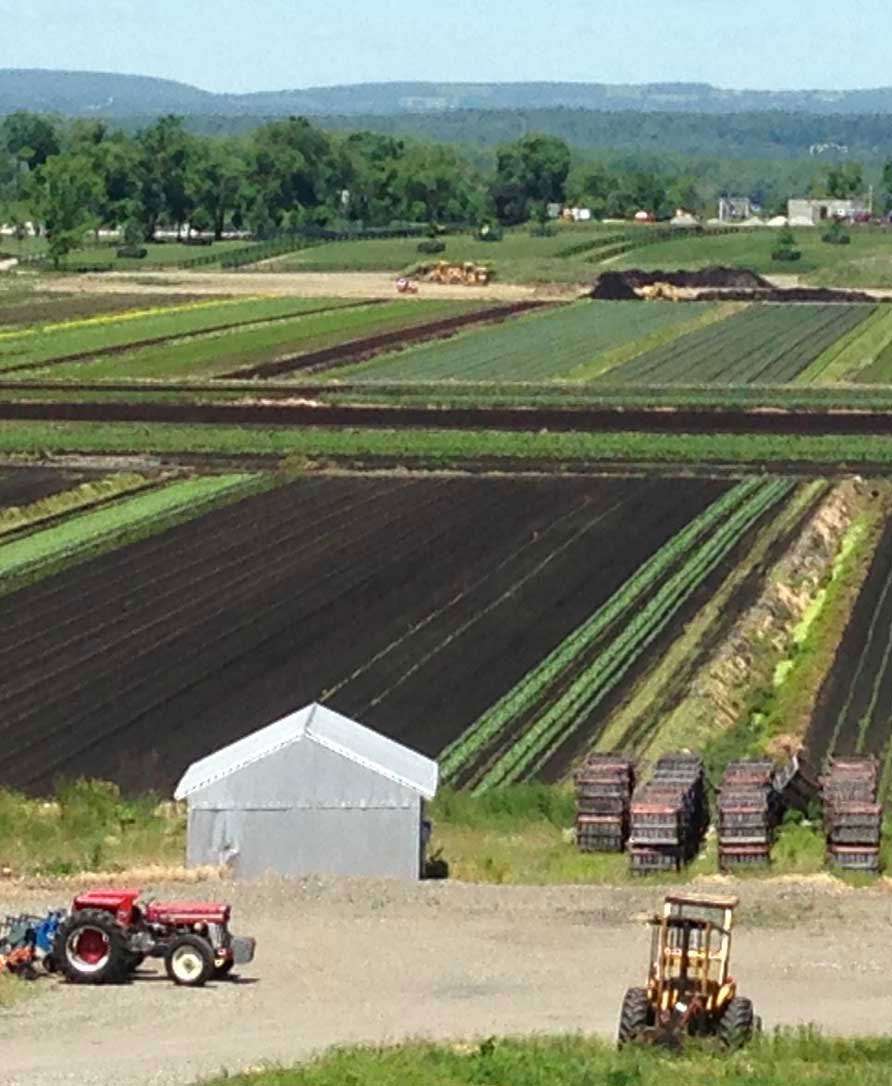 Florida NY Farmers Market | Florida, NY 10921, USA | Phone: (845) 772-2662