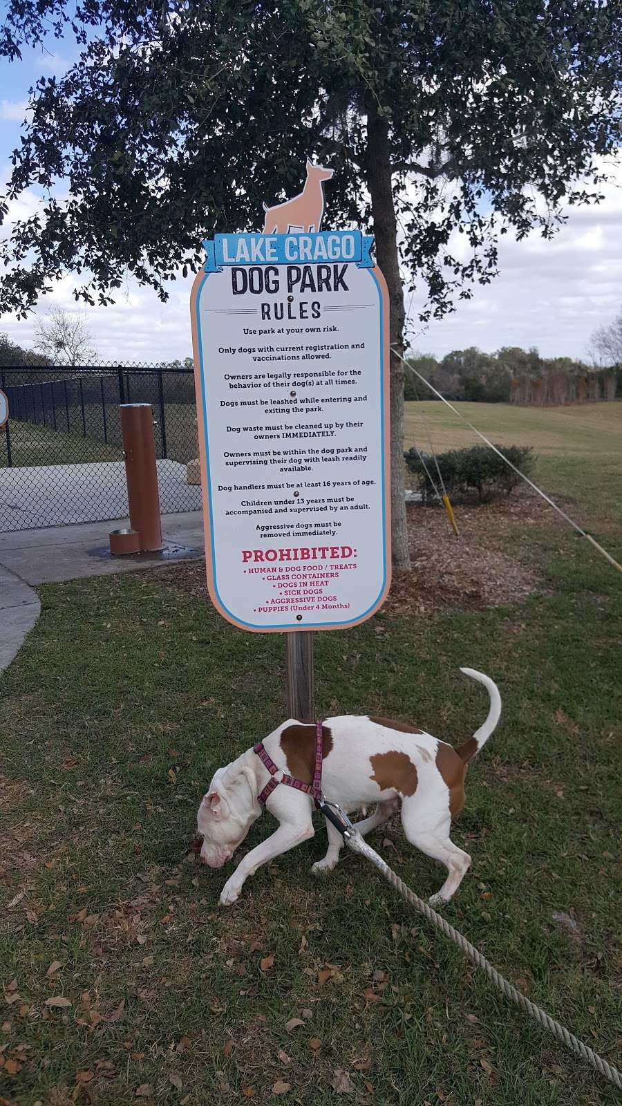 Lake Crago Dog Park | 525 Lake Crago Dr, Lakeland, FL 33805, USA | Phone: (863) 834-6035