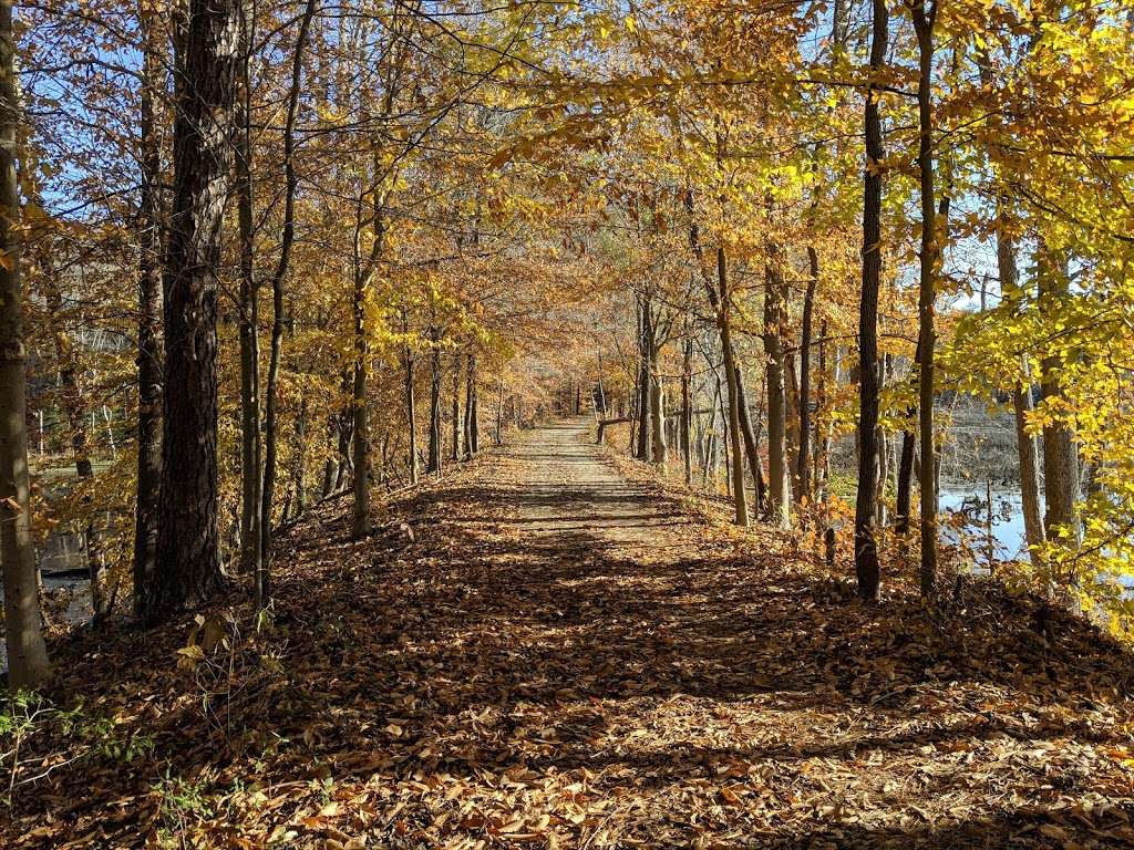 Dahlgren Railroad Heritage Trail Parking/Access | Indiantown Rd, King George, VA 22485