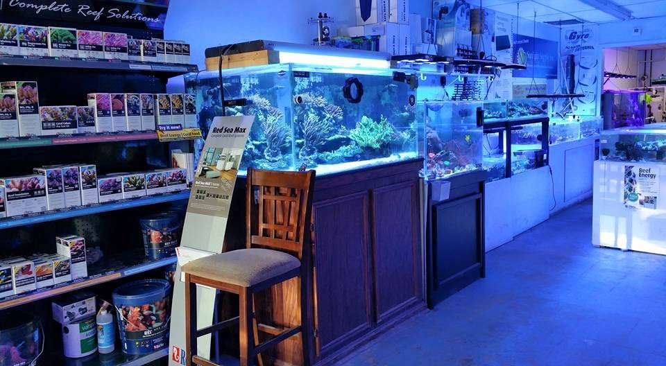 FJW AQUARIUM | 3839 Mangum Rd, Houston, TX 77092 | Phone: (281) 948-8803