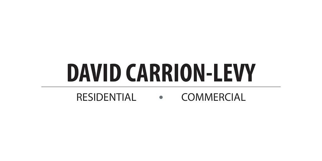 David Carrion-Levy | 2550 S Bayshore Dr STE 106, Miami, FL 33133, USA | Phone: (786) 445-0535