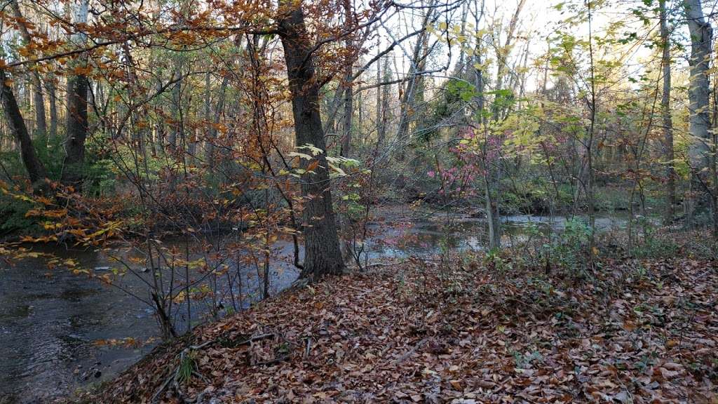 Pennypack creek trail | Pennypack Creek Trail, Huntingdon Valley, PA 19006, USA