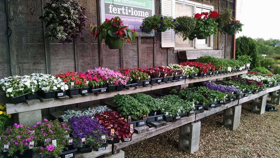 Clinton Parkway Nursery | 4900 Clinton Parkway, Lawrence, KS 66047, USA | Phone: (785) 842-3081