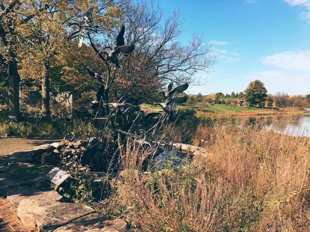 Native Plant Garden | Northbrook, IL 60062, USA