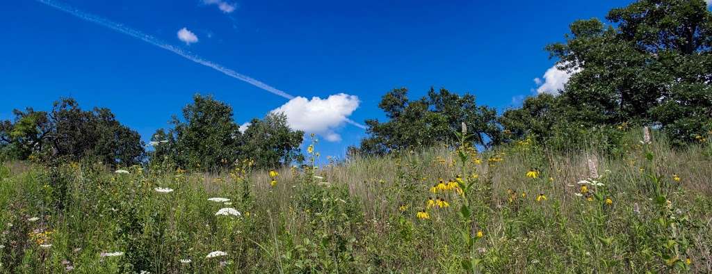 Eagle Centre Prairie State Natural Area | Eagle, WI 53119, USA | Phone: (888) 936-7463