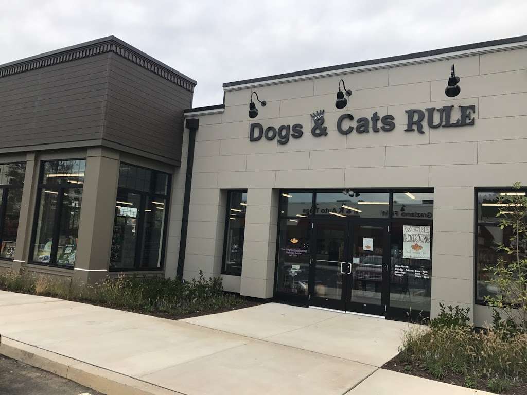 Dogs & Cats Rule | 140 Veterans Ln, Doylestown, PA 18901, USA | Phone: (215) 340-1110