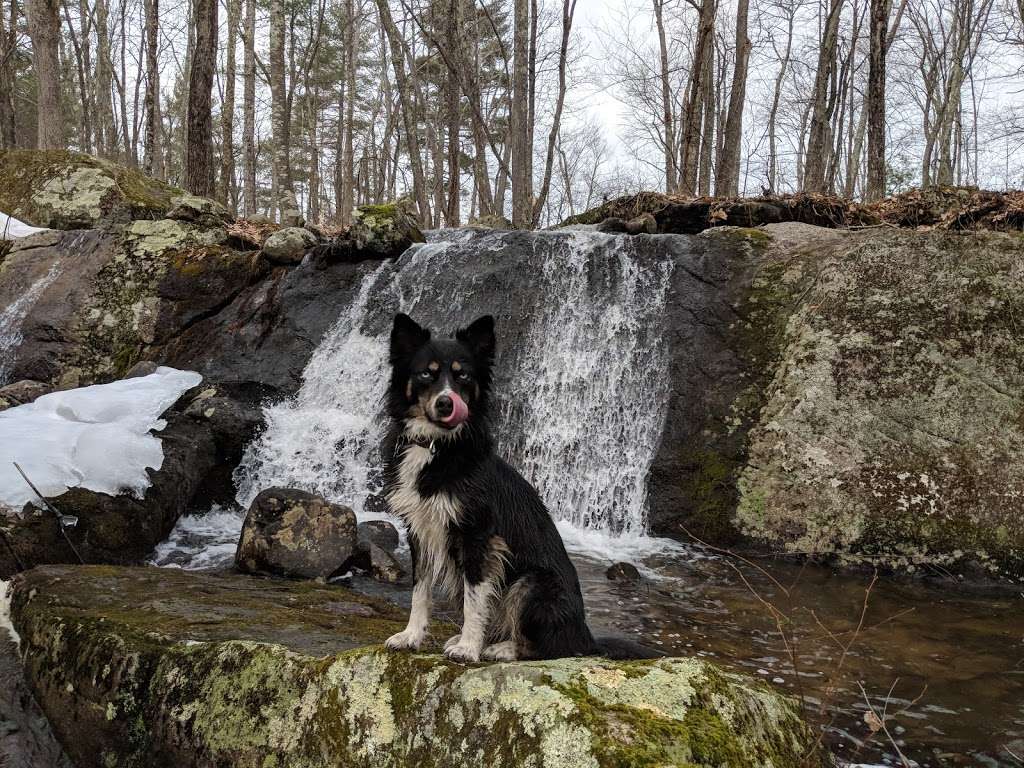 Beaver Brook Association Old City Trailhead | 70-198 Rocky Pond Rd, Hollis, NH 03049