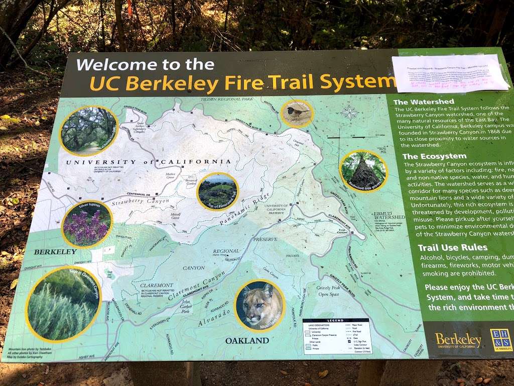 Lower Fire Trail Trailhead | Firetrail, Berkeley, CA 94705