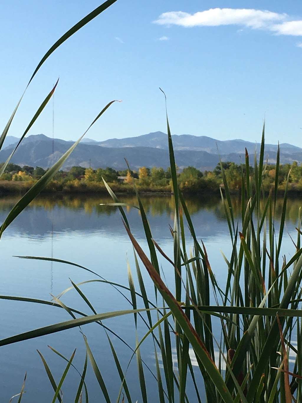 Rivers edge natural area | Loveland, CO 80537, USA