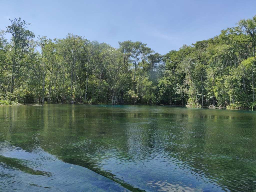 Glass Bottom Boat Tours at Silver Springs | 5656 E Silver Springs Blvd, Silver Springs, FL 34488, USA | Phone: (352) 261-5840