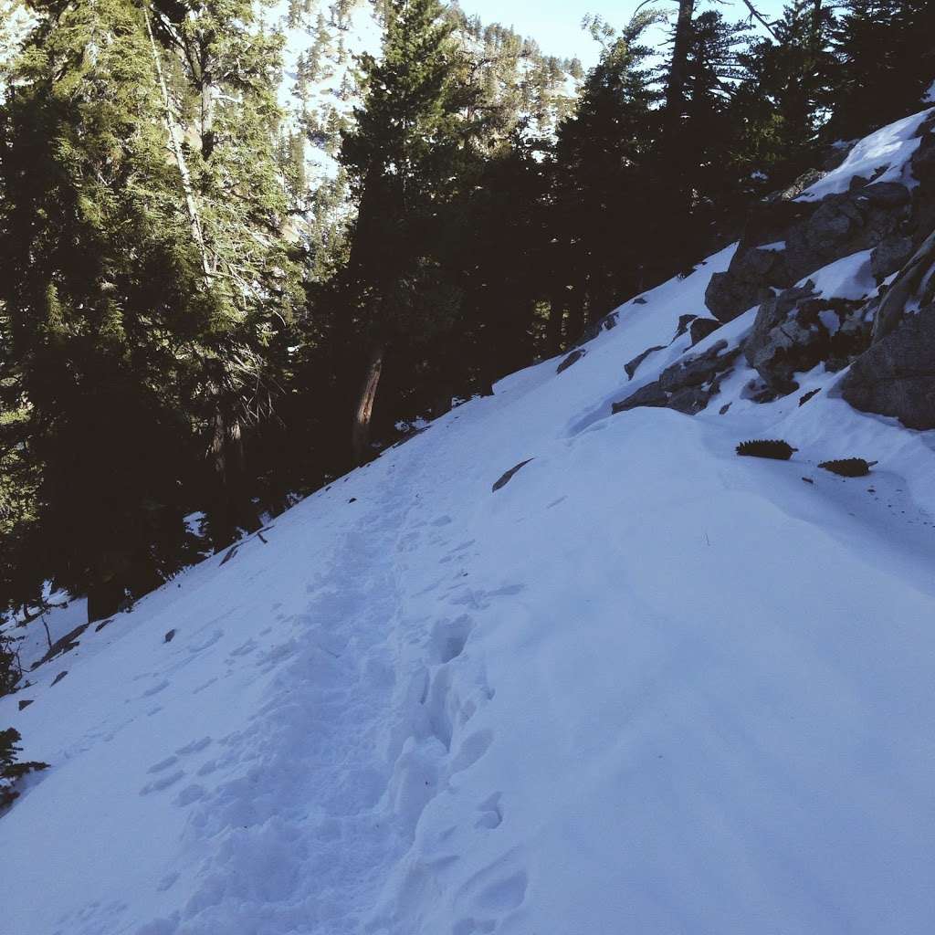 Kelly Camp | Mt Baldy, CA 91759, USA