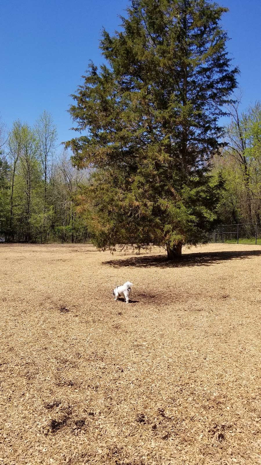 Bowie Dog Park | 3600 Northview Dr, Bowie, MD 20716 | Phone: (301) 809-3056