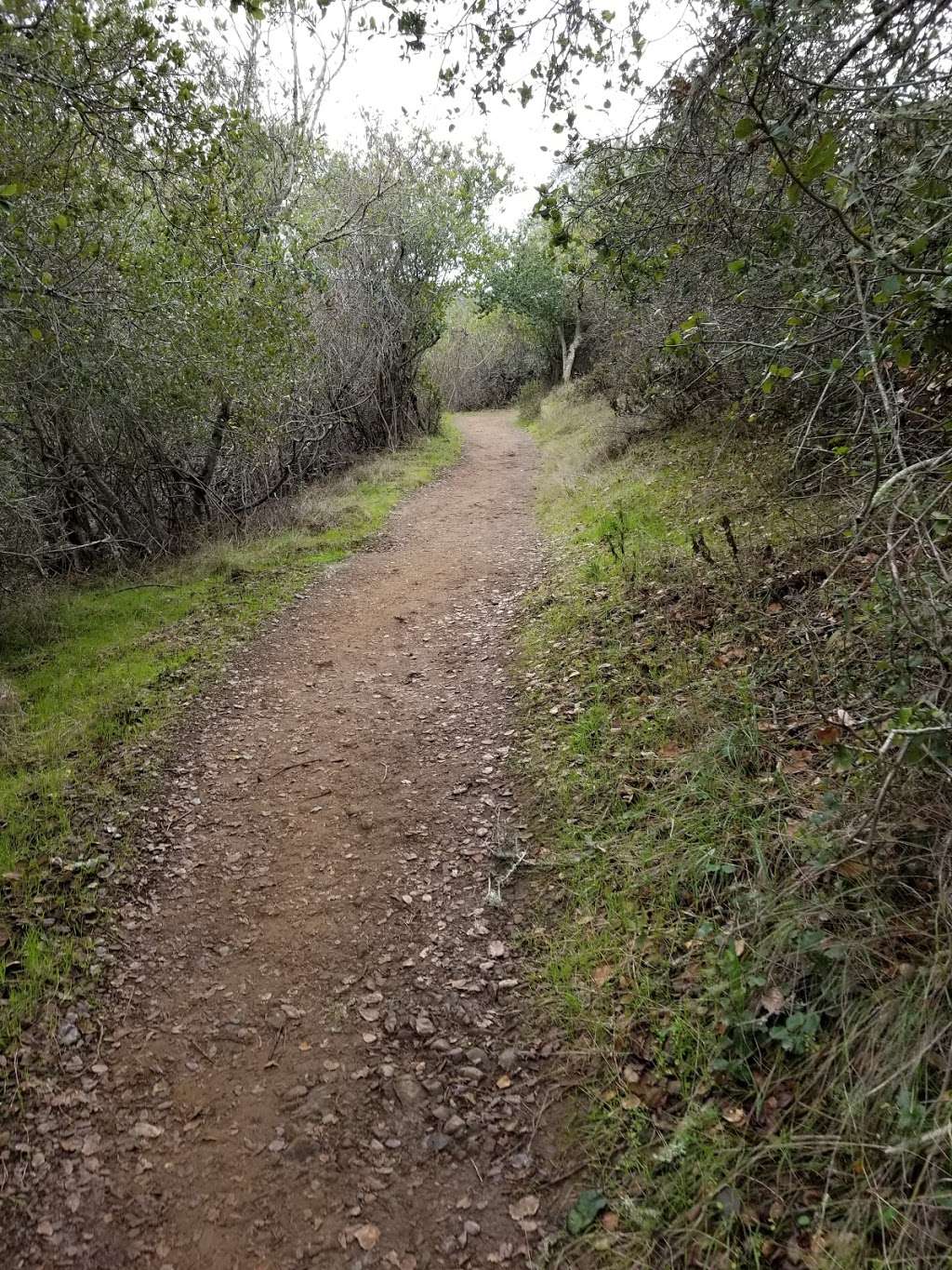 Sunset Trailhead, Edgewood Park | 599-501 Robertson Way, Redwood City, CA 94062, USA