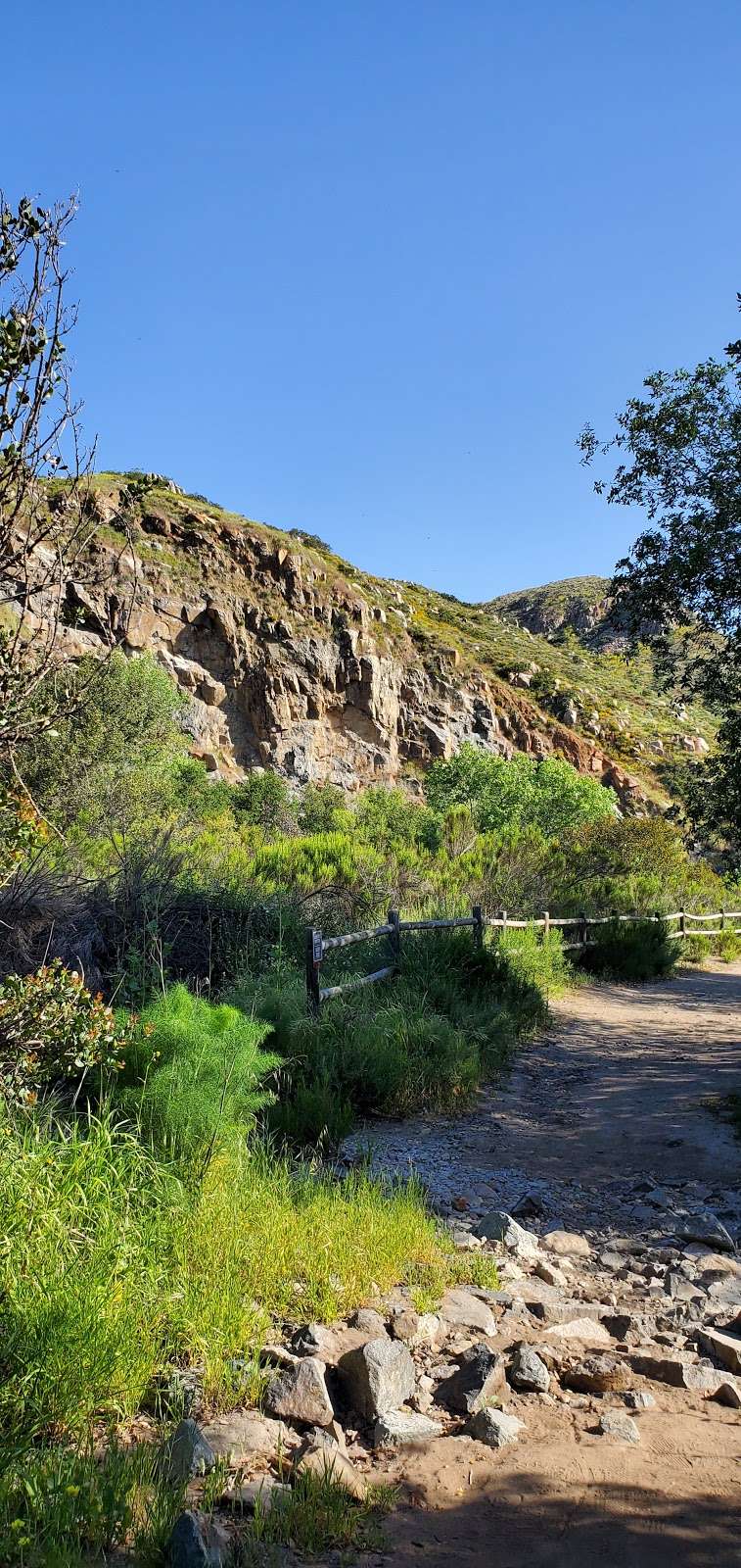 Mission Trails Jackson | 1 Father Junipero Serra Trail, San Diego, CA 92120, USA | Phone: (619) 668-3281