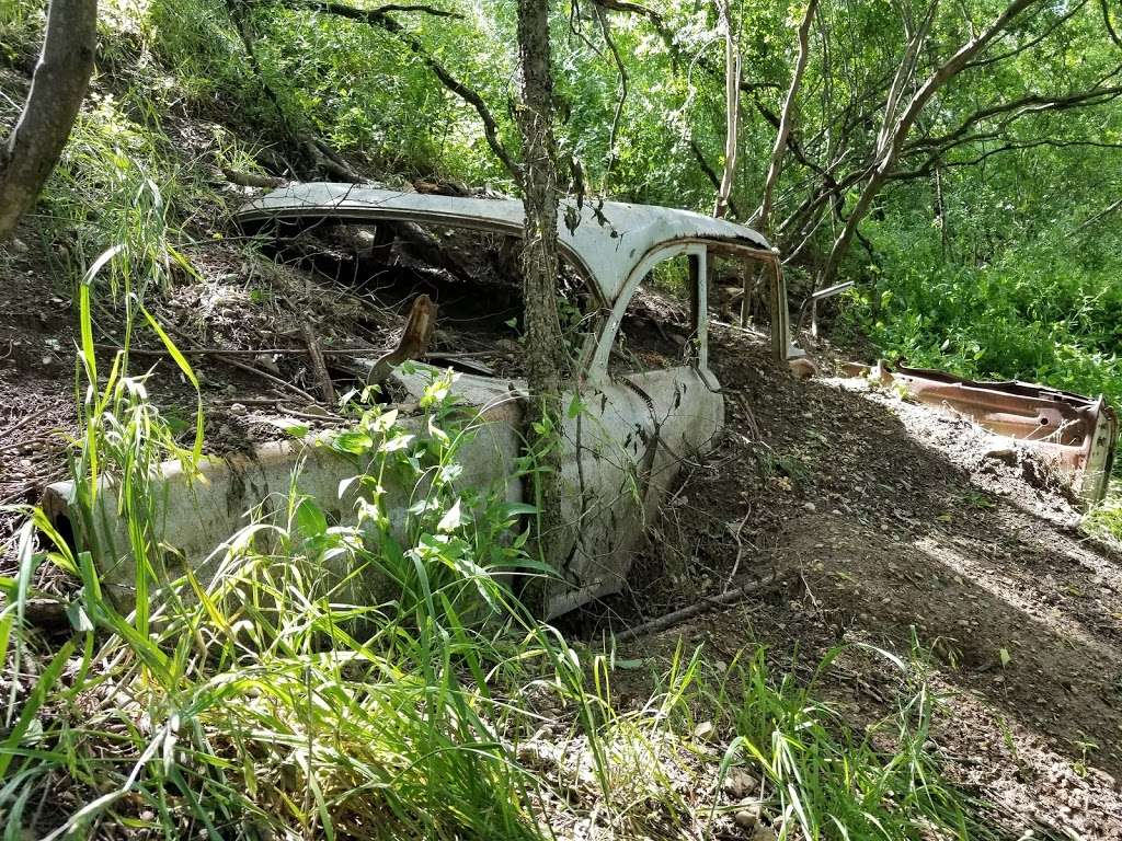 Cut Off Park | 909N FM1518, Schertz, TX 78154, USA | Phone: (210) 619-1850 Cut Off Park | 909N FM1518, Schertz, TX 78154, USA | Phone: (210) 619-1850