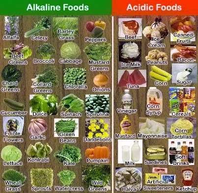 Triumphant Health and Wealth | 662 Triumphant Way, Falling Waters, WV 25419, USA | Phone: (240) 449-4228