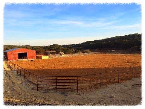 Spring Creek Stables | 21860 Babcock Rd, San Antonio, TX 78255 | Phone: (210) 784-0051