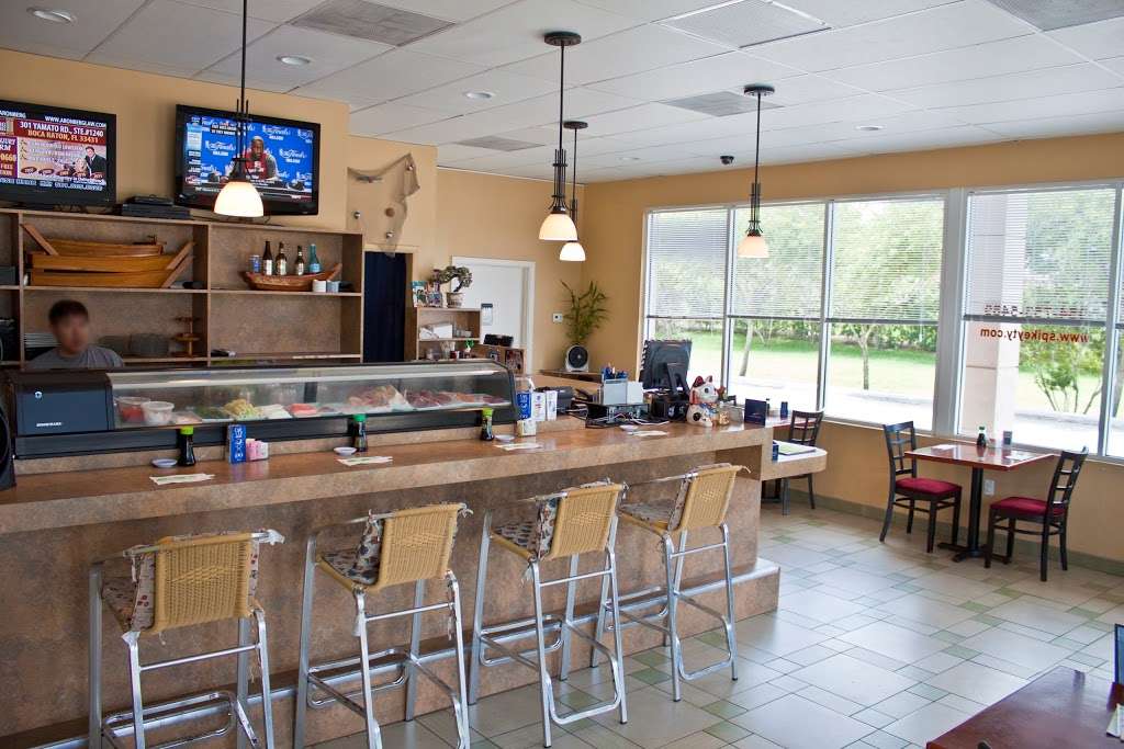 Spikey Ty | 4690 Coral Ridge Dr, Coral Springs, FL 33076, USA | Phone: (954) 753-5489