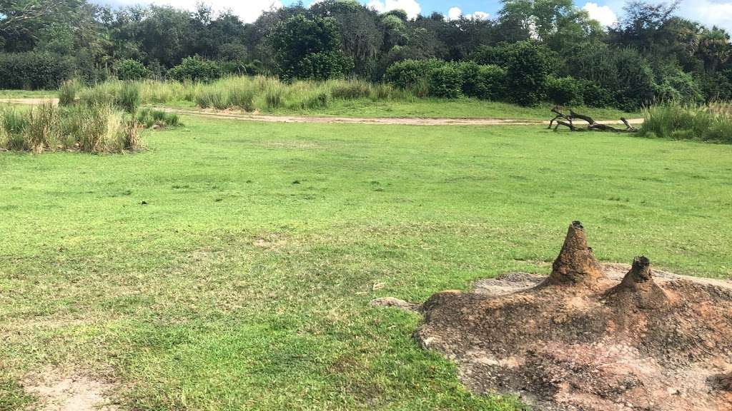 Kilimanjaro Safaris | 2901 W Osceola Pkwy, Orlando, FL 32830, USA | Phone: (407) 939-5277