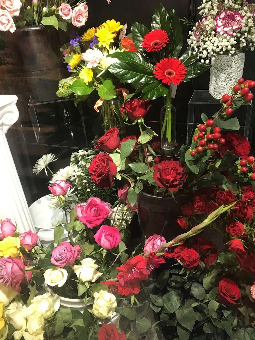Eagledale Florist | 3615 W 30th St, Indianapolis, IN 46222, USA | Phone: (317) 924-4249
