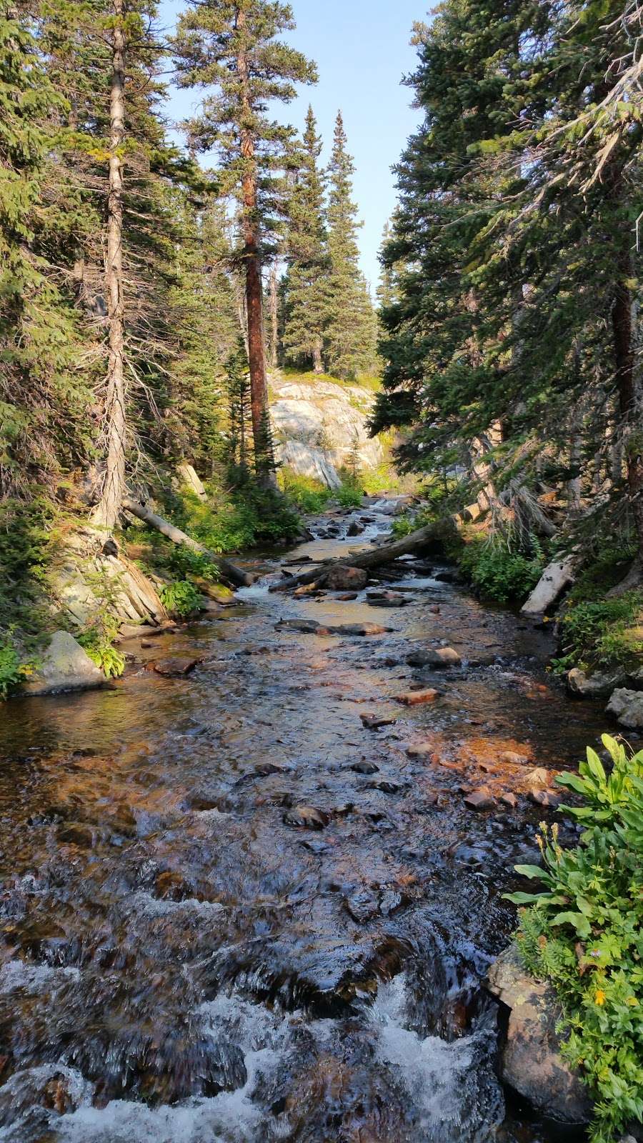 Fourth of July Campground | Nederland, CO 80466, USA