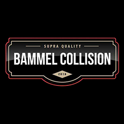 Bammel Collision | 9950 Bammel North Houston Rd, Houston, TX 77086, USA | Phone: (281) 771-9157