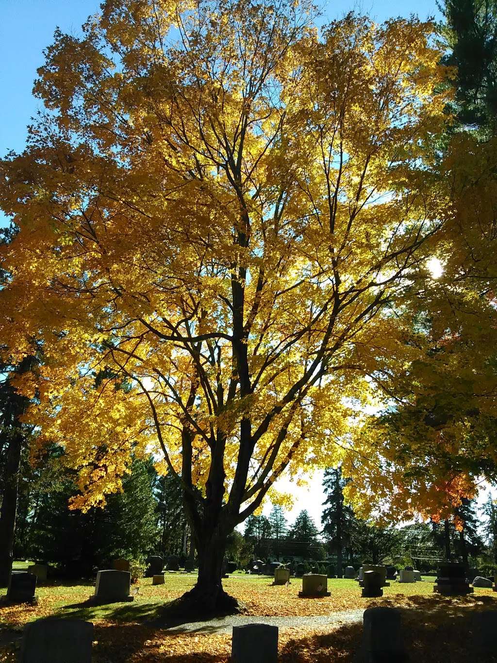 Blue Hill Cemetery | 700 West St, Braintree, MA 02184, USA | Phone: (781) 843-9000