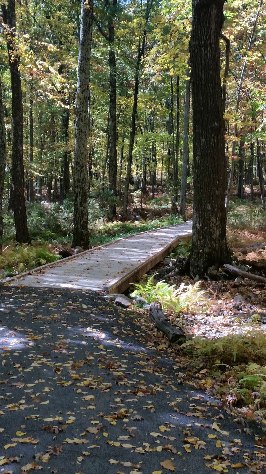 Cornelia & Florence Bridge Nature Preserve | 983 Twin Lakes Rd, Milford, PA 18337, USA