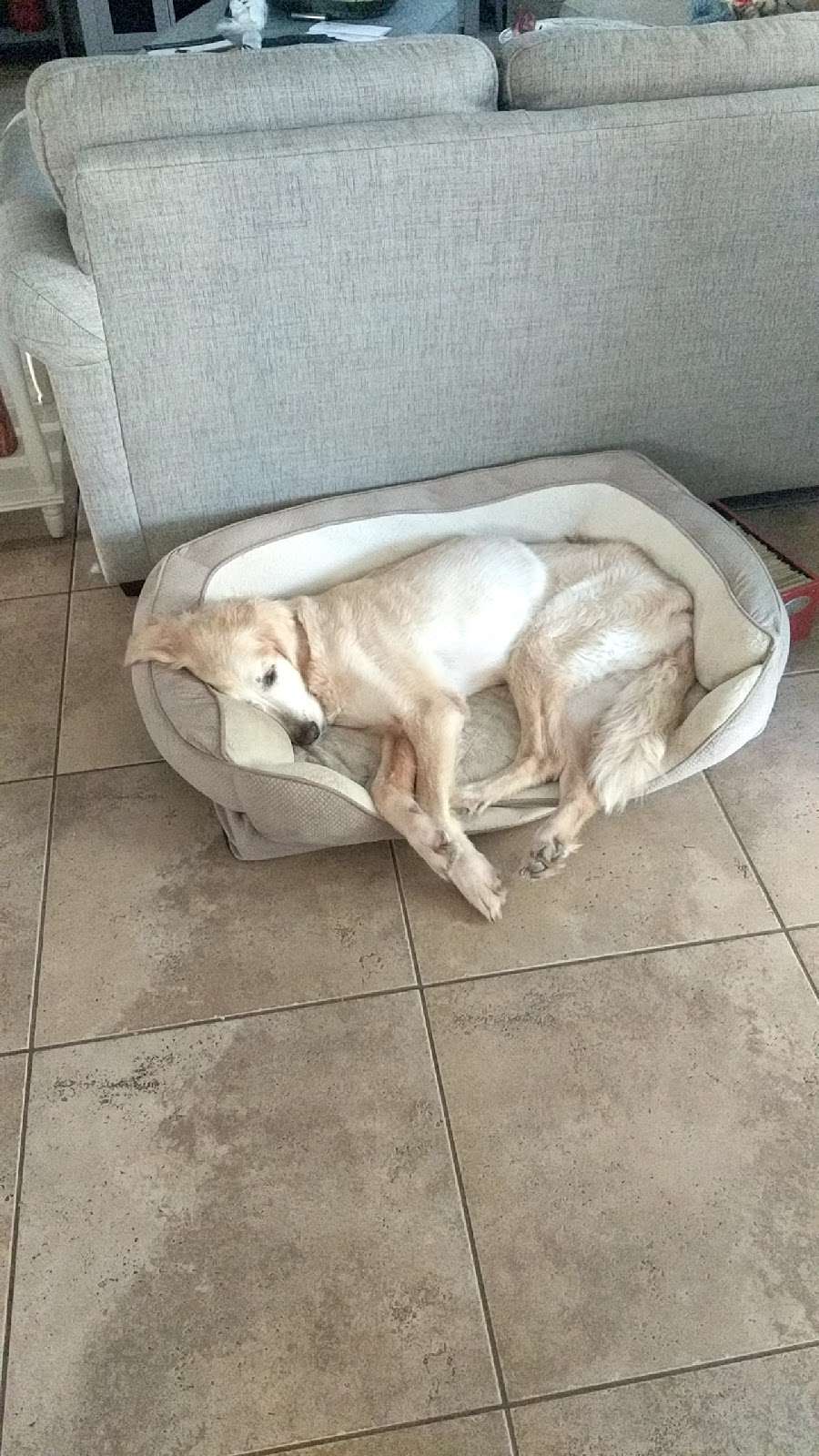 Brazos Bend Animal Hospital | 3361 721, Farm to Market 359, Richmond, TX 77406, USA | Phone: (281) 342-1117