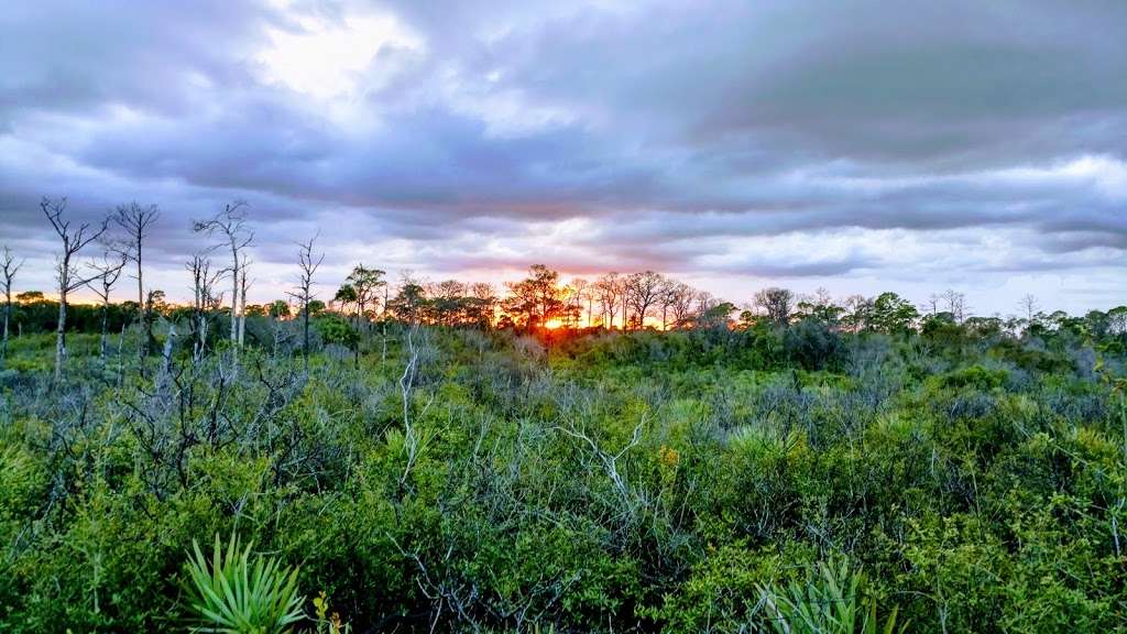 Jonathan Dickinson State Park | 16450 SE Federal Hwy, Hobe Sound, FL 33455, USA | Phone: (772) 546-2771