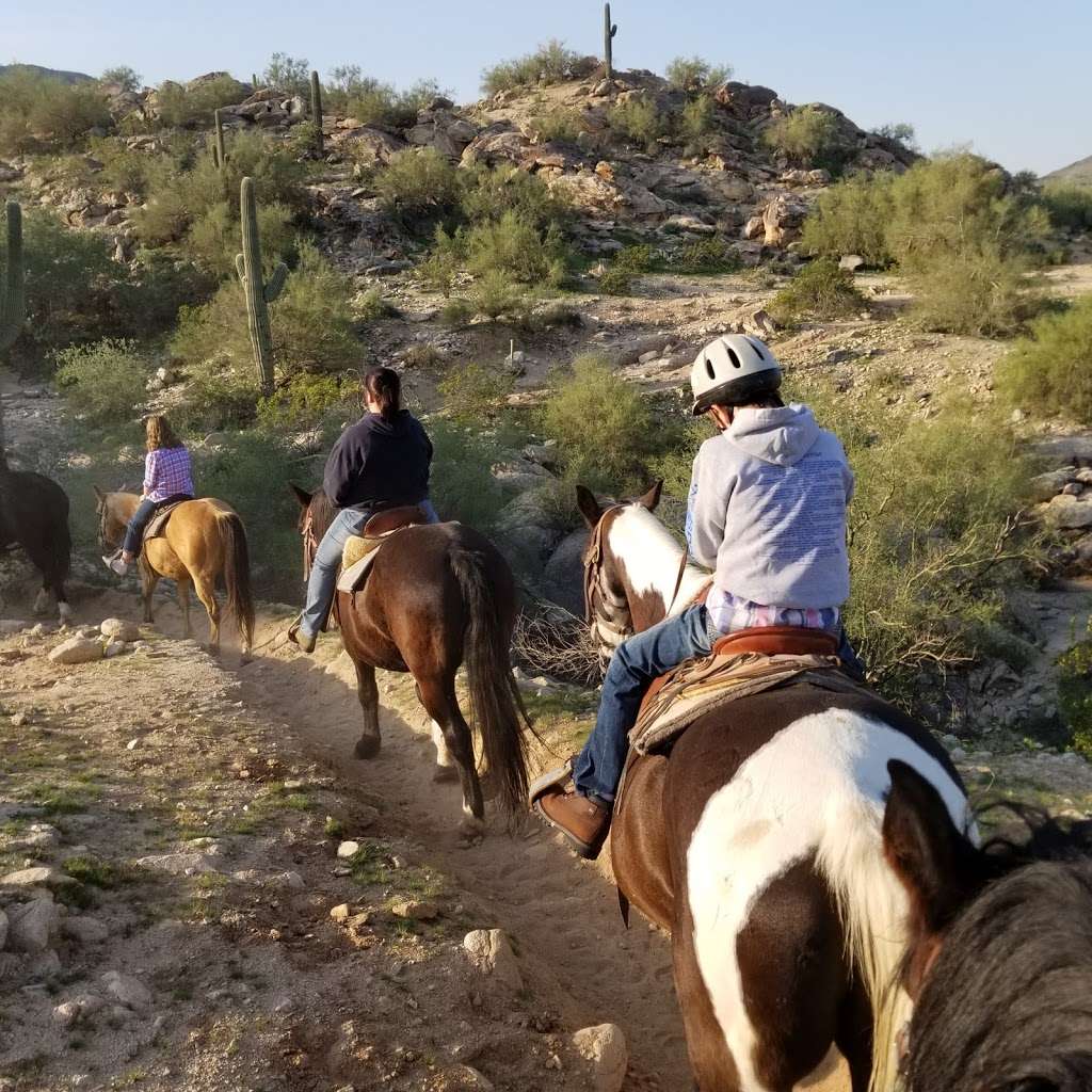 Las Lomitas Trail | Las Lomitas, Phoenix, AZ 85042