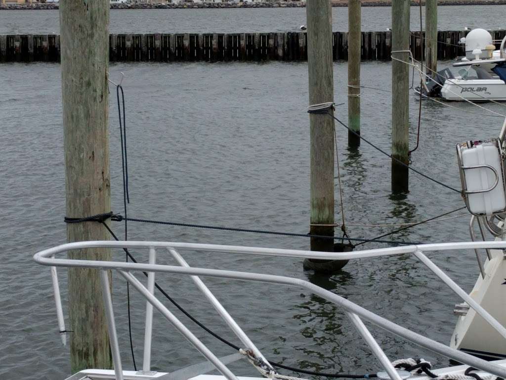 Coastal Marine Piling Inc | 42 Seaview Dr, Longport, NJ 08403, USA | Phone: (609) 823-8282