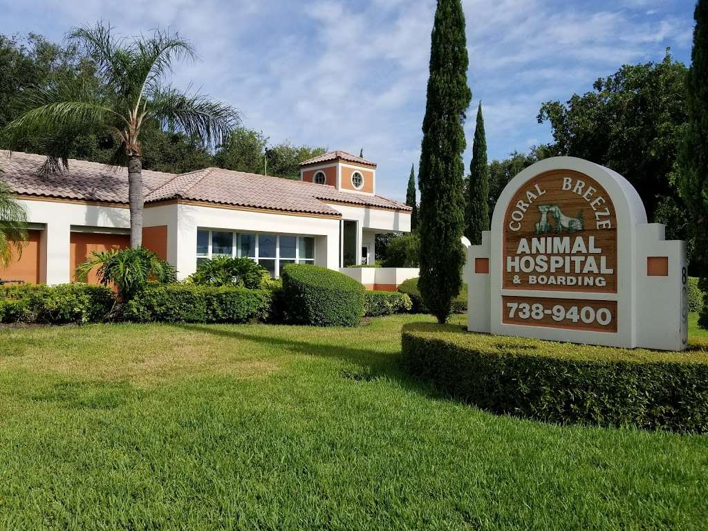 Coral Breeze Animal Hospital | 8893 S Military Trail, Boynton Beach, FL 33436 | Phone: (561) 738-9400